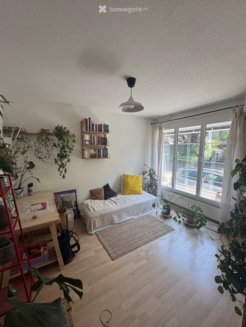 Wunderschöne 3 Zi.-Altbauwohnung im Murifeld (4)