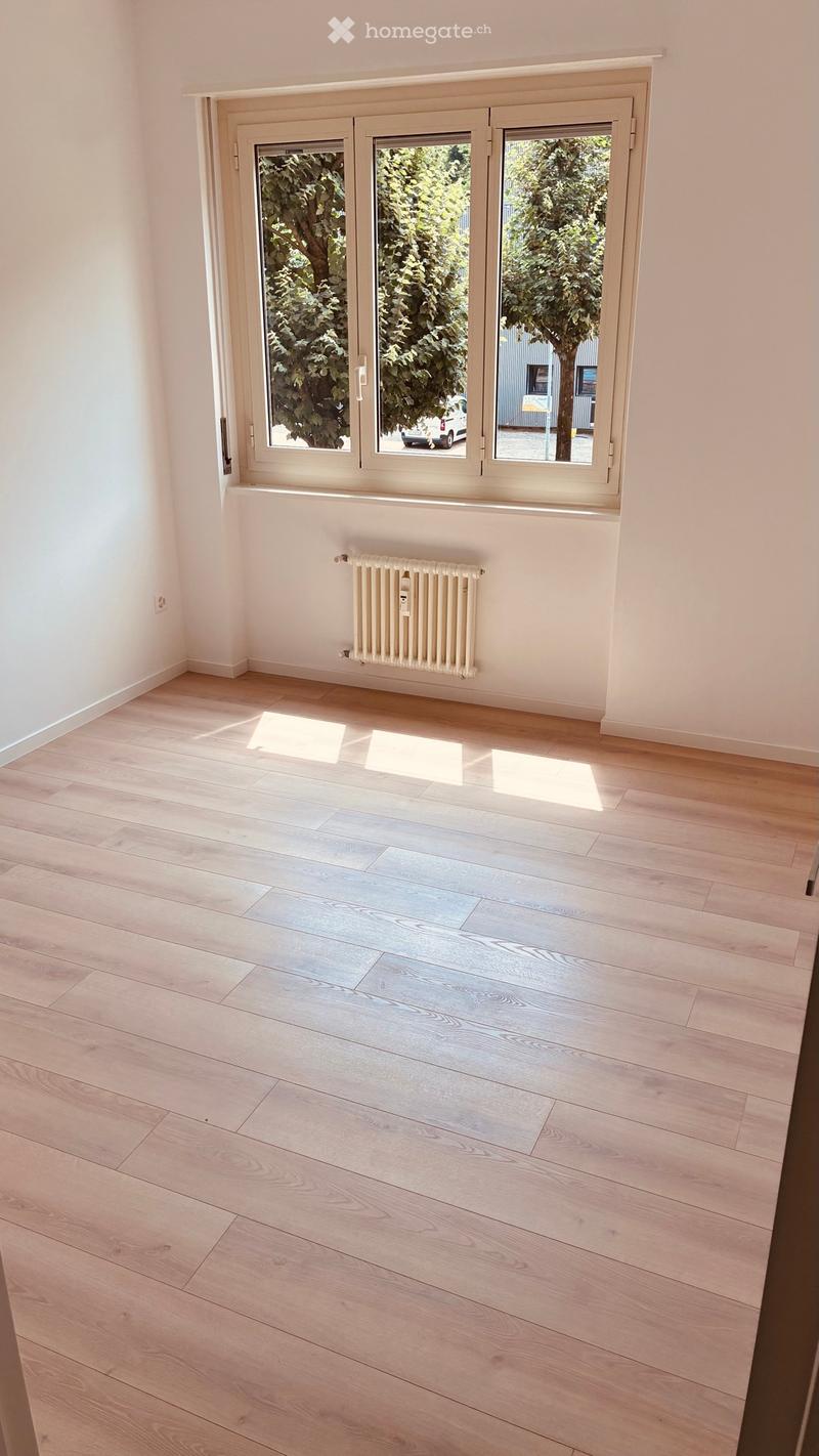 Appartamento ristrutturato a chiasso (5)