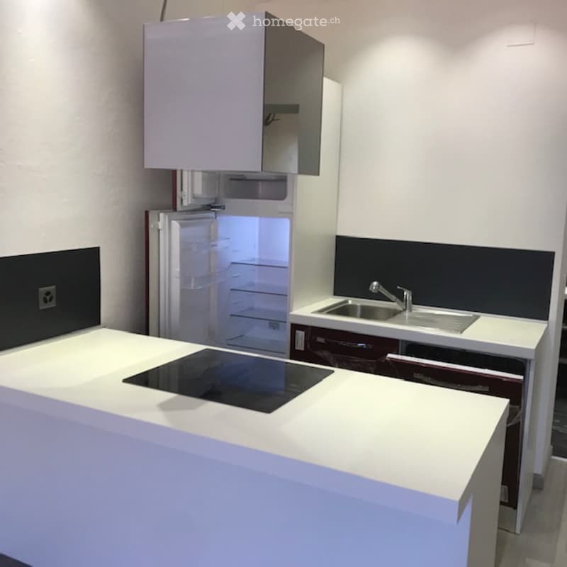 Appartamento 2.5 Bellinzona (3)