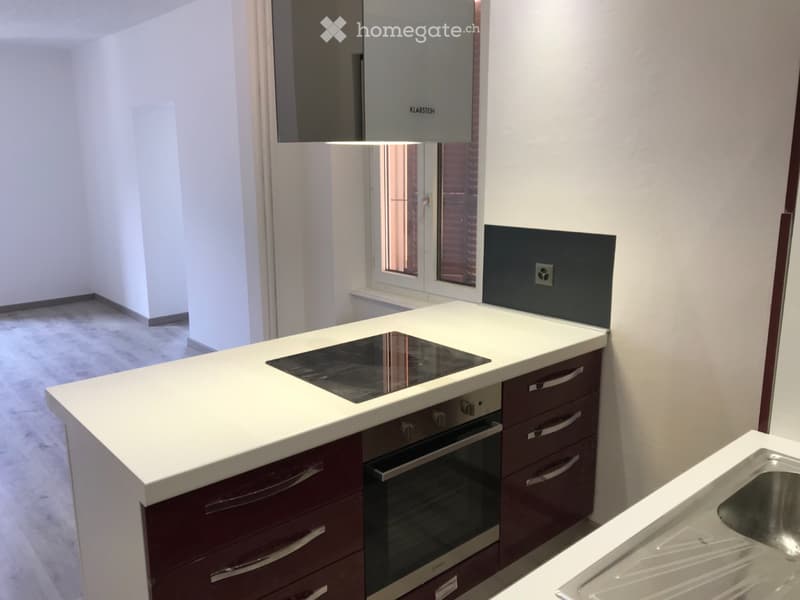 Appartamento 2.5 Bellinzona (4)