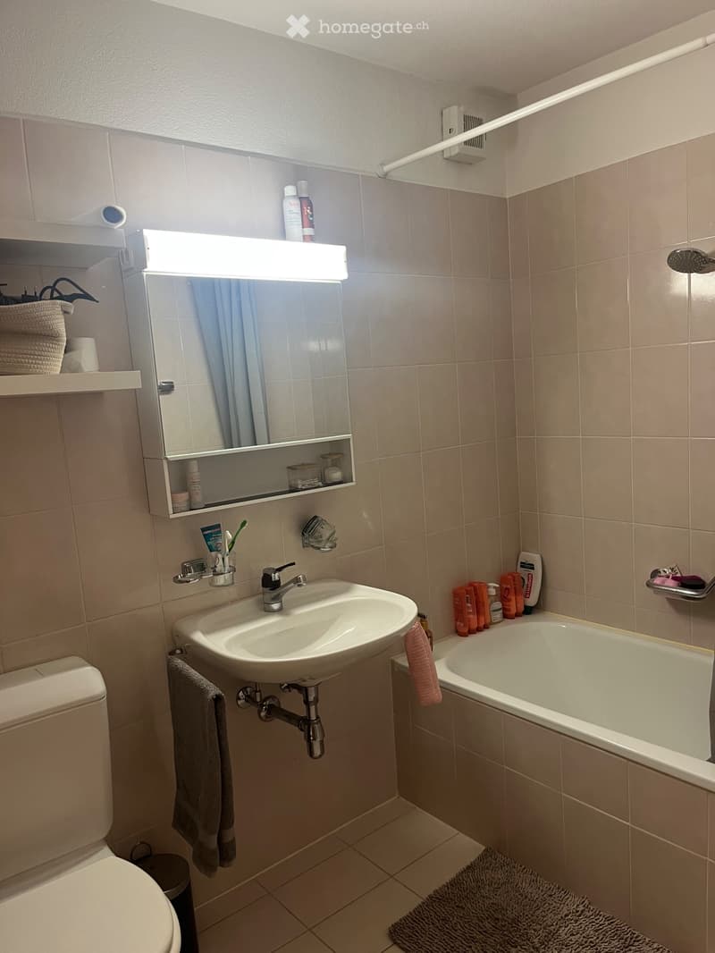Appartamento 1.5 locali a Losone 760/mese (3)