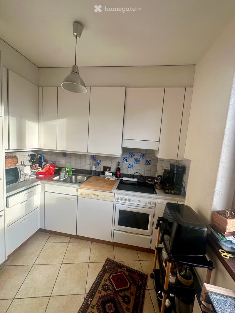 Appartamento 4.5 locali di fronte a Ospedale Civico LUGANO (4)