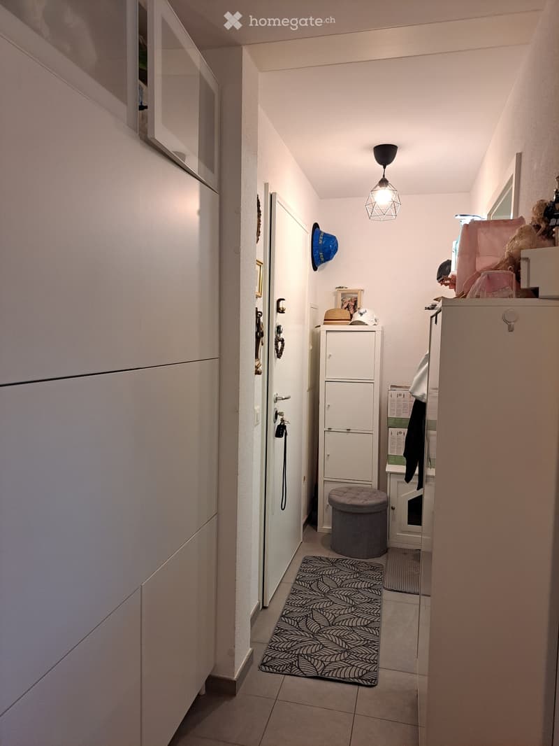 Tesserete 2.5 locali (3)