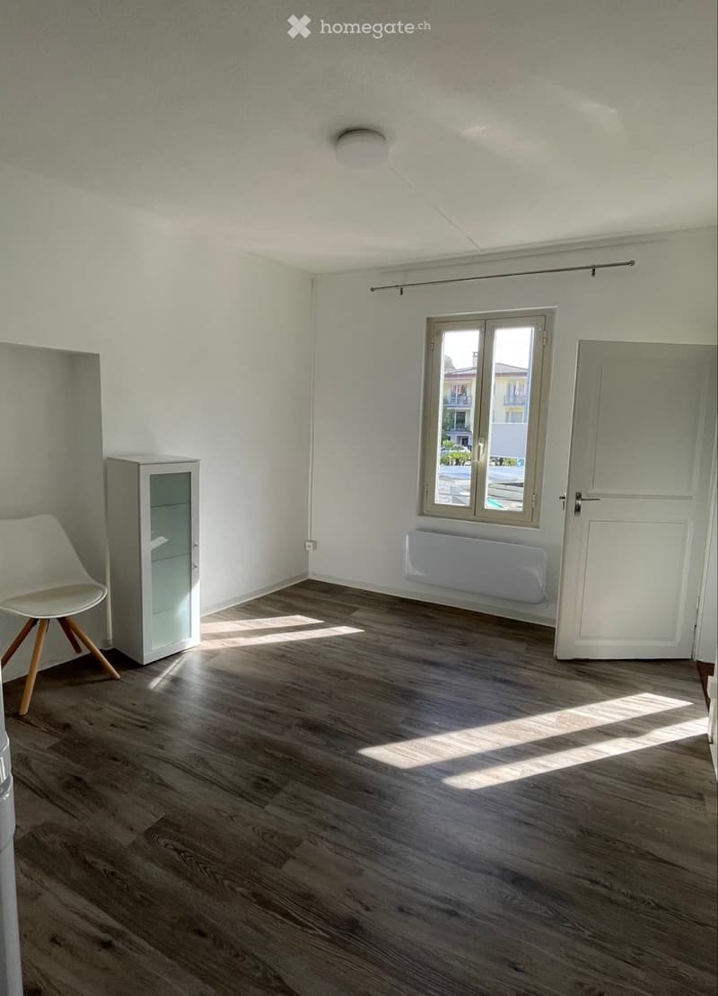Affittasi appartamento 3.5 (3)