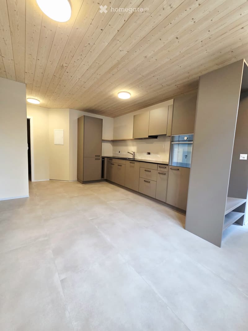 Moderne 2.5 Zimmer Wohnung (1)