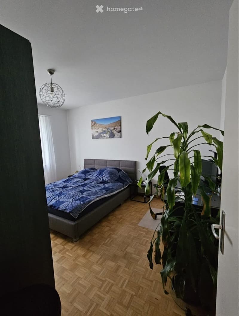 Nachmieter gesucht für unsere 2-Zi-Whg im Mattenhofquartier (5)