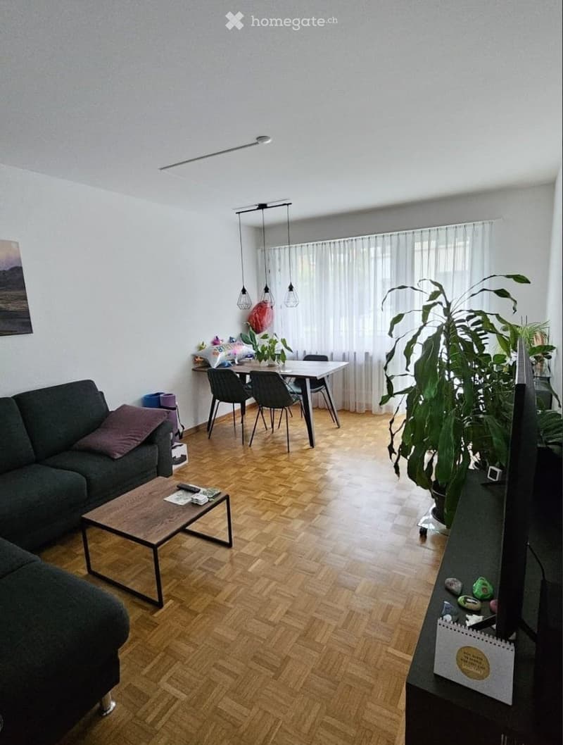 Nachmieter gesucht für unsere 2-Zi-Whg im Mattenhofquartier (2)