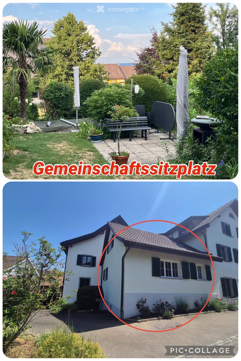 3-Zimmer-Wohnung per sofort zu vermieten (1)