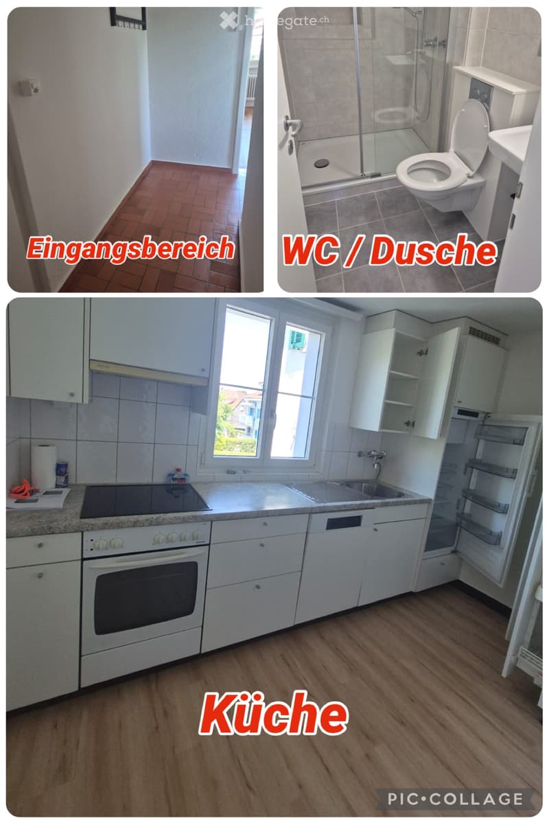 3-Zimmer-Wohnung per sofort zu vermieten (4)