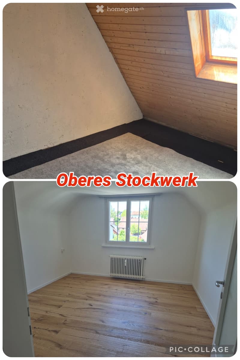 3-Zimmer-Wohnung per sofort zu vermieten (3)