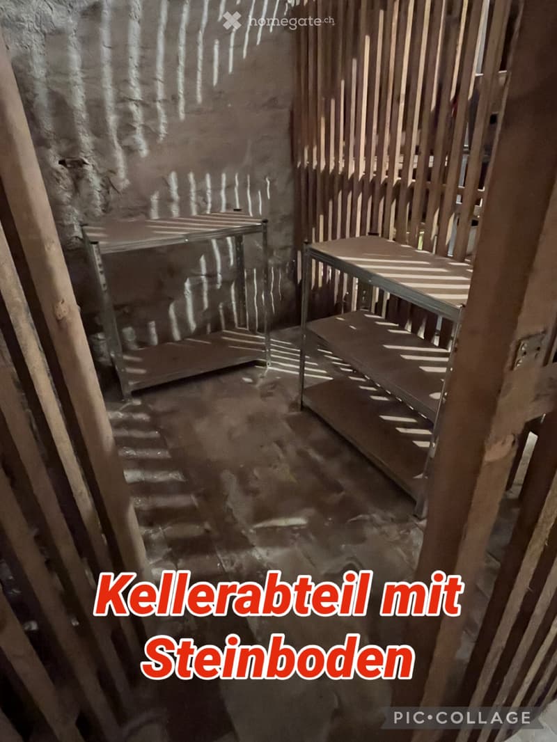 3-Zimmer-Wohnung per sofort zu vermieten (5)