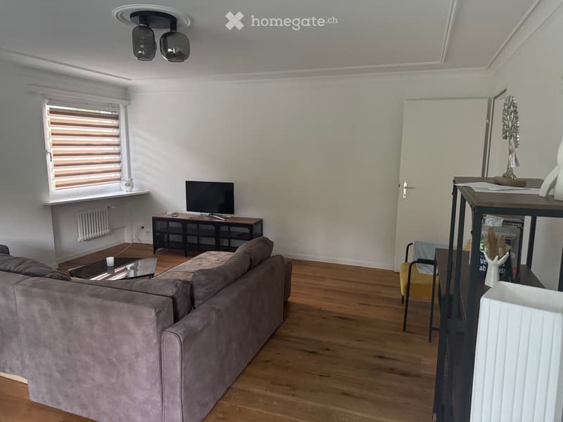 Charmante 4.5-Zimmer-Altbauwohnung mit Balkon in Hergiswil (1)