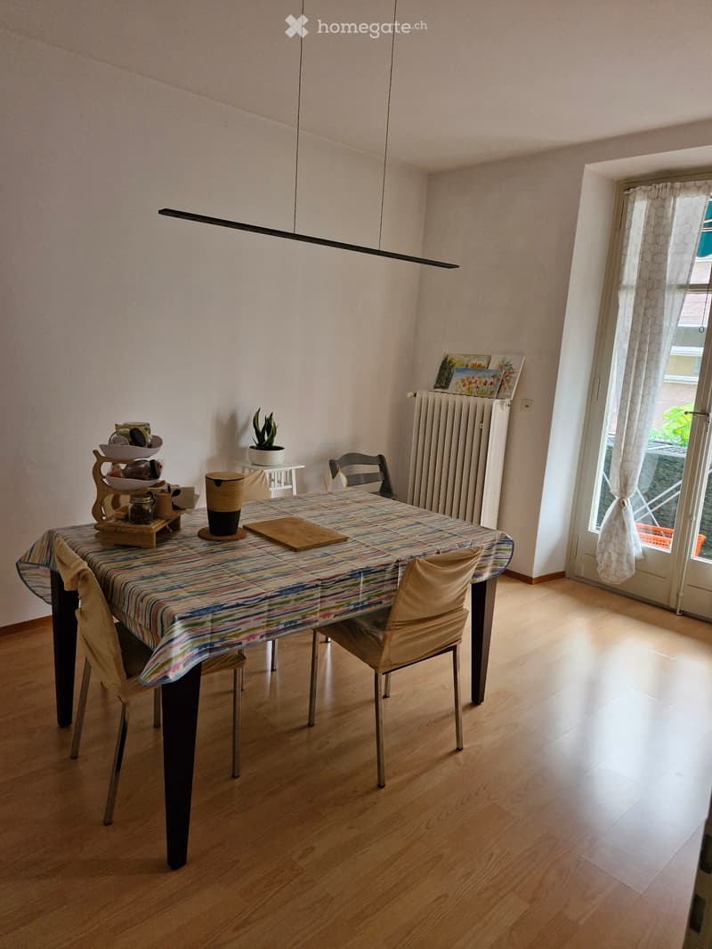 Affittasi 4 Locali a Lugano-Molino Nuovo (5)