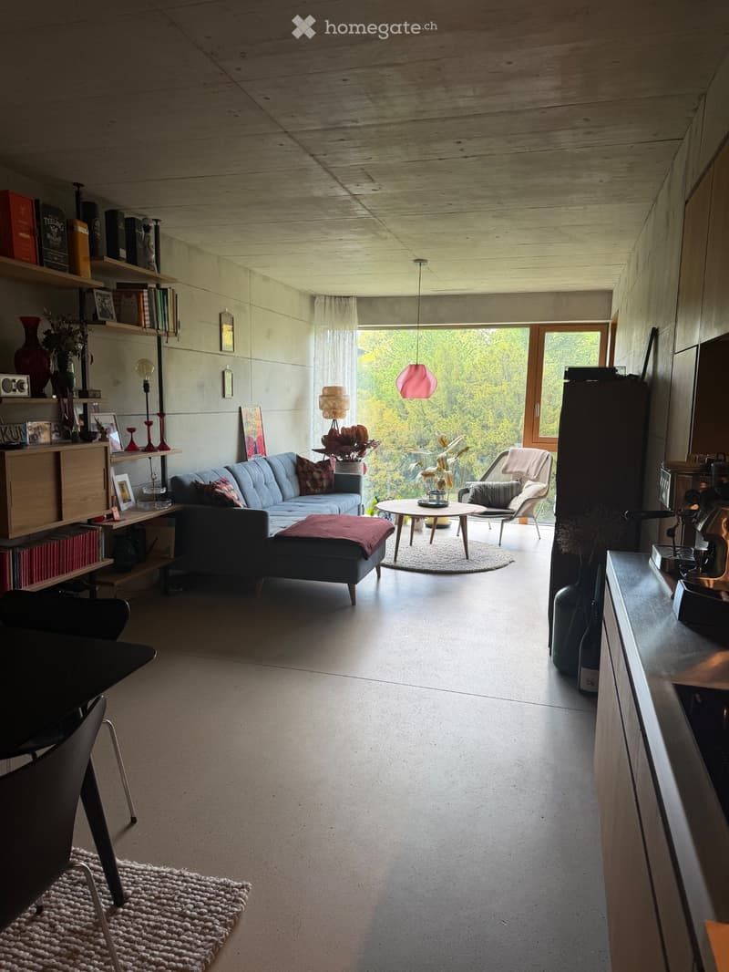 Vollständig möblierte 3.5-Zimmerwohnung im Kreis 7, Zürich (3)