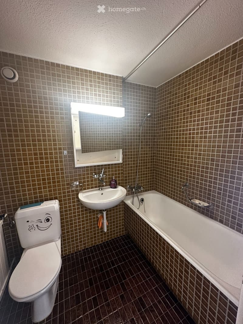 1-Zimmer-Etagenwohnung in 8307 Illnau-Effretikon (5)