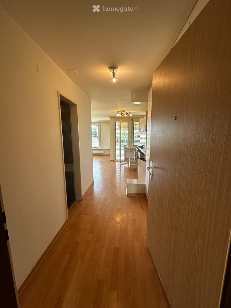 1-Zimmer-Etagenwohnung in 8307 Illnau-Effretikon (3)