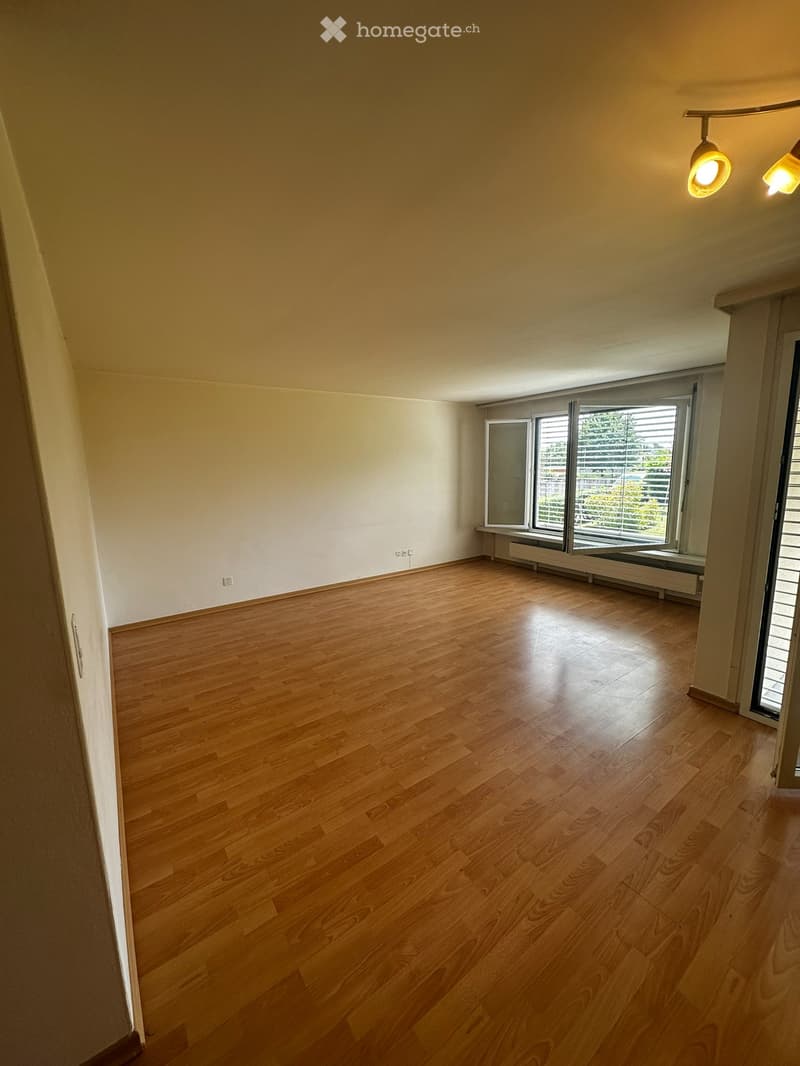 1-Zimmer-Etagenwohnung in 8307 Illnau-Effretikon (1)