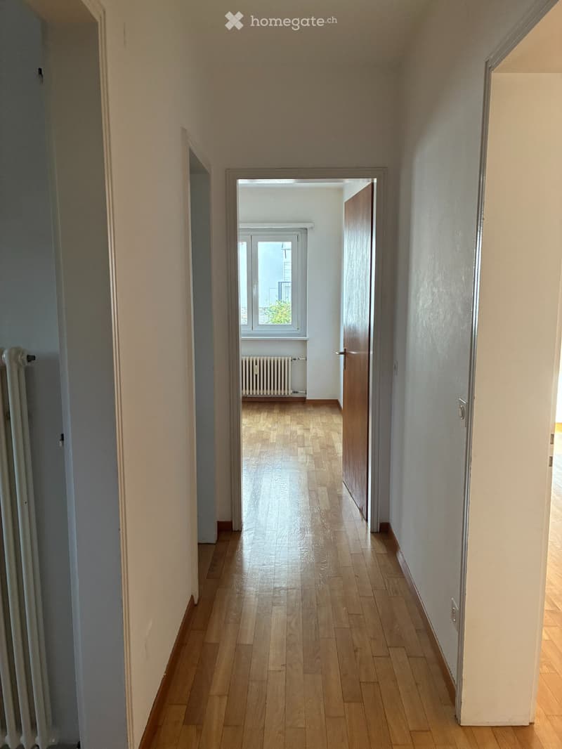 Cerco subentrante, bilocale Mendrisio centro (3)