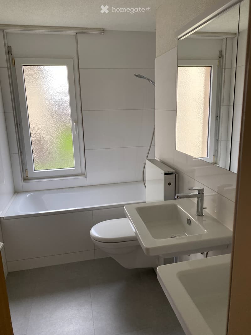Grosse Wohnung (3)