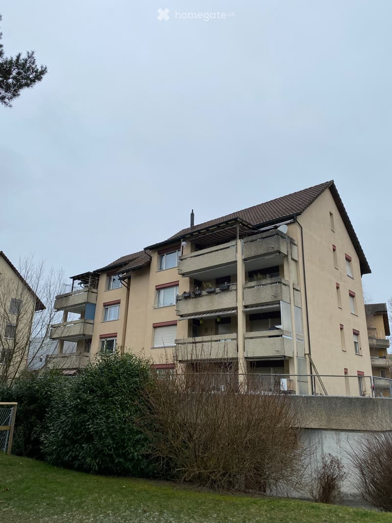 Grosse Wohnung (1)