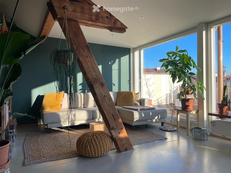 Sonnige Loft-Dachwohnung inkl. Arbeitsplatz & Dachterrasse (1)