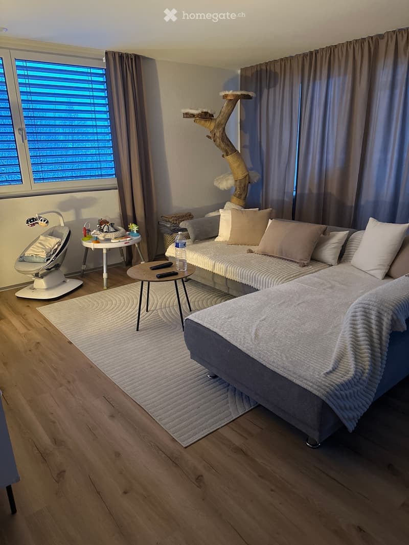 3.5 Zimmerwohnung im schönen Herznach (4)