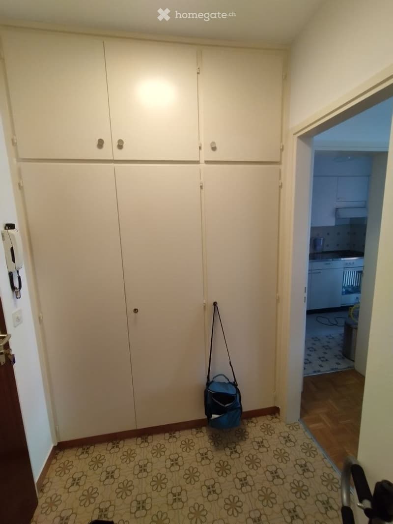 Appartamento 1.5 a Viganello, vicino università (2)