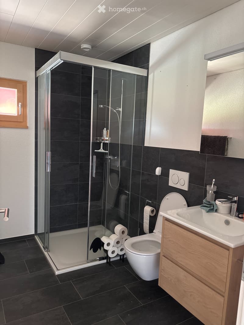 5.5 Zimmer Wohnung auf Bauernhof zu mieten, evt. mit Stall (5)