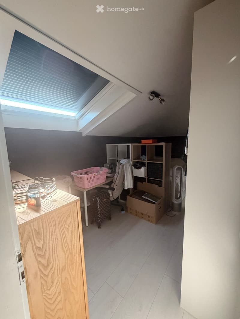 Schöne 2-Zimmer Dachwohnung (mit Klimagerät) (4)