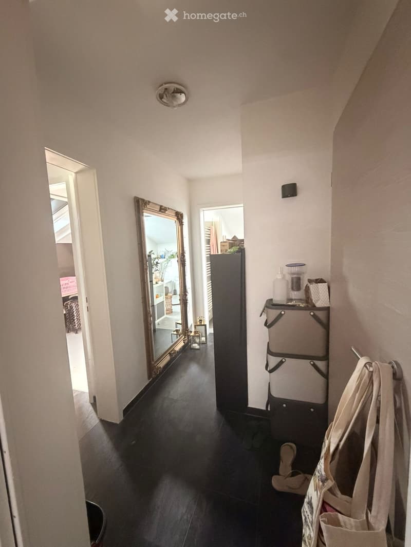 Schöne 2-Zimmer Dachwohnung (mit Klimagerät) (5)