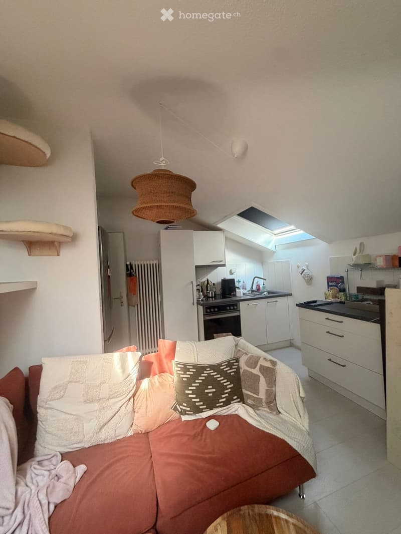 Schöne 2-Zimmer Dachwohnung (mit Klimagerät) (1)