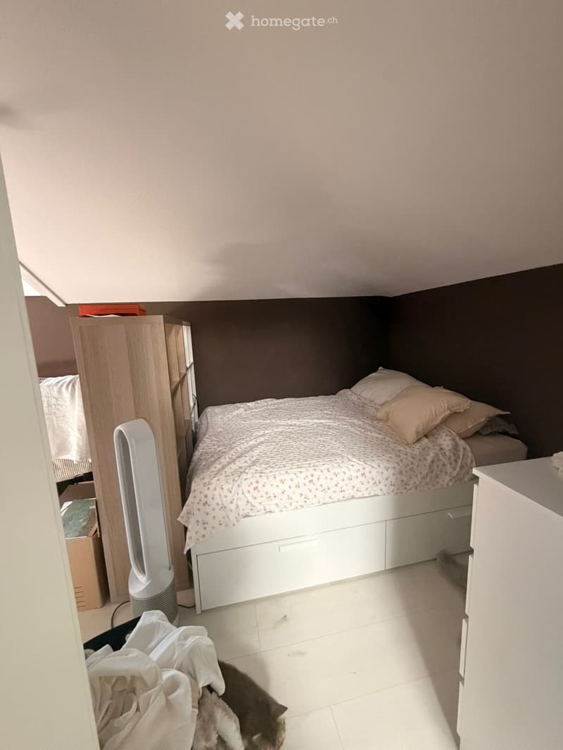 Schöne 2-Zimmer Dachwohnung (mit Klimagerät) (3)