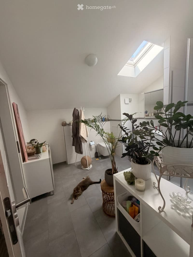 Schöne 2-Zimmer Dachwohnung (mit Klimagerät) (2)