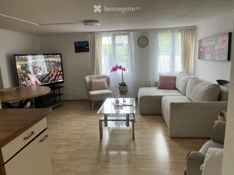 3.5 - Zimmer EG Wohnung (4)