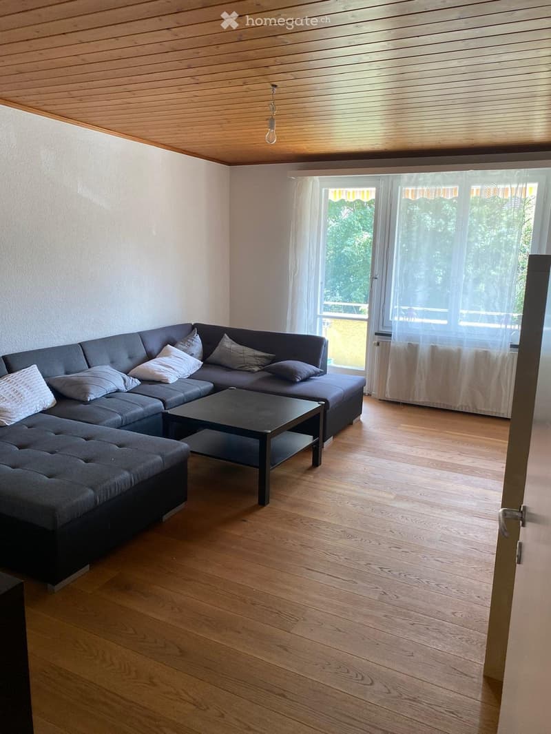 Charmante 3 Zimmer-Wohnung (1)