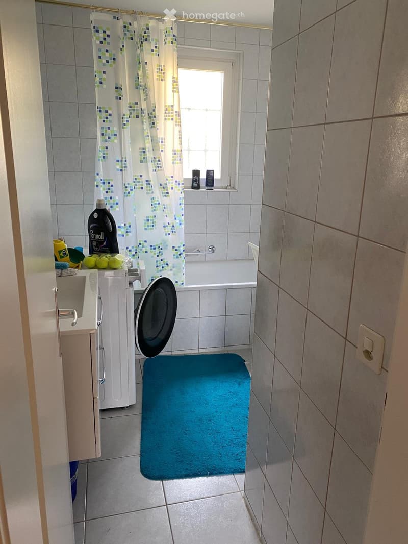 Charmante 3 Zimmer-Wohnung (4)