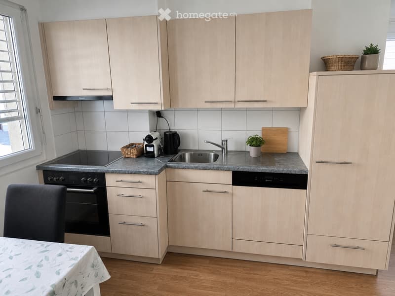 2.5 Zimmer Wohnung Mumpf (3)