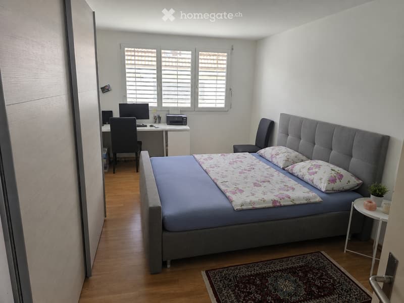 2.5 Zimmer Wohnung Mumpf (2)