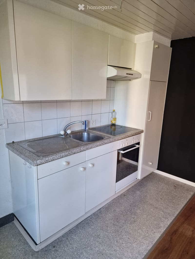 Frisch renovierte 2-Zimmer-Erdgeschosswohnung mit Garten (5)