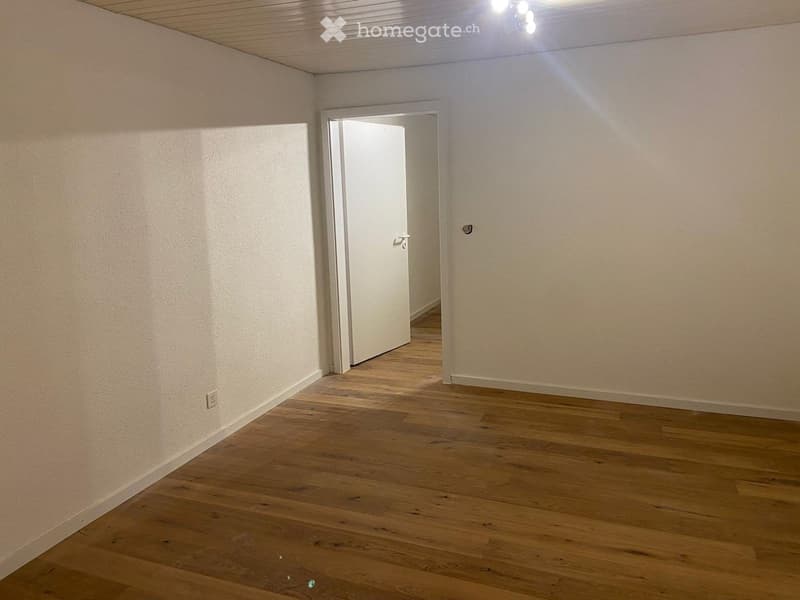 Frisch renovierte 2-Zimmer-Erdgeschosswohnung mit Garten (3)