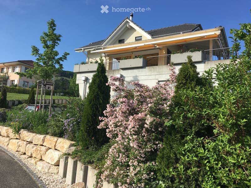 Top EFH an Sonnenhang mit unverbaubarer Weitsicht (1)