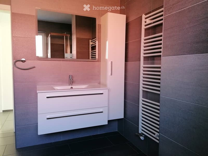 Affittasi appartamento 4.5 locali con giardino S.Antonino (2)