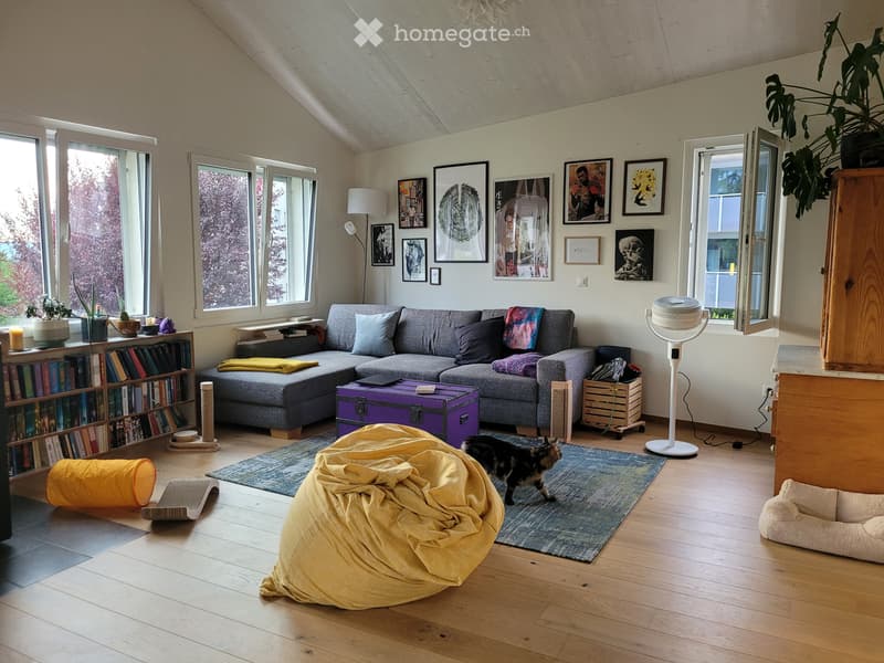Grosse Einzimmerwohnung (Loft) in Liestal zu vermieten (1)