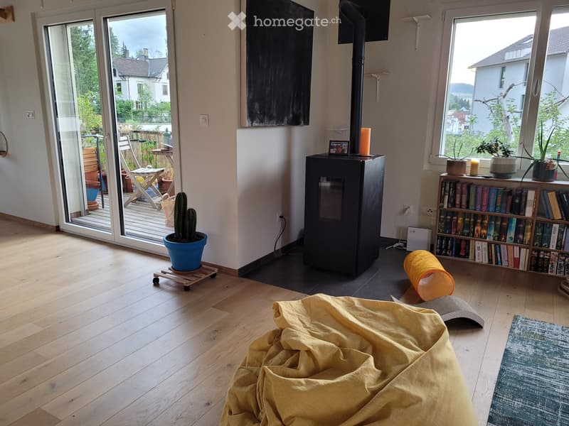 Grosse Einzimmerwohnung (Loft) in Liestal zu vermieten (4)