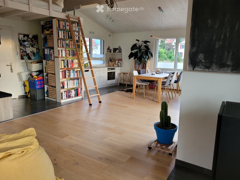 Grosse Einzimmerwohnung (Loft) in Liestal zu vermieten (5)