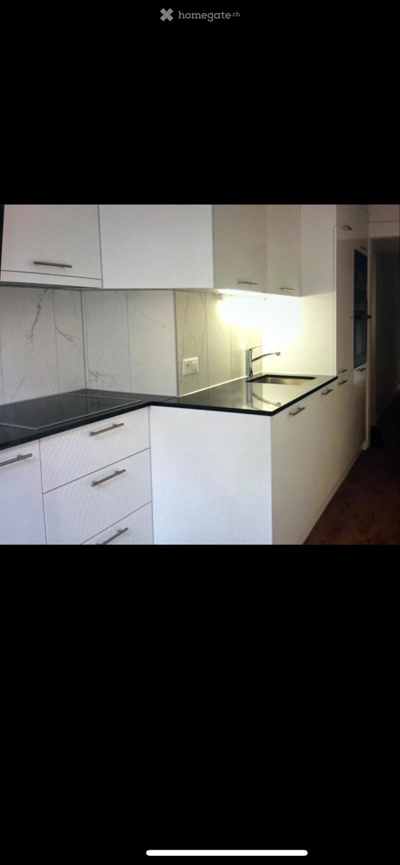Zu Vermieten: Renovierte 4-Zimmer Wohnung (3)