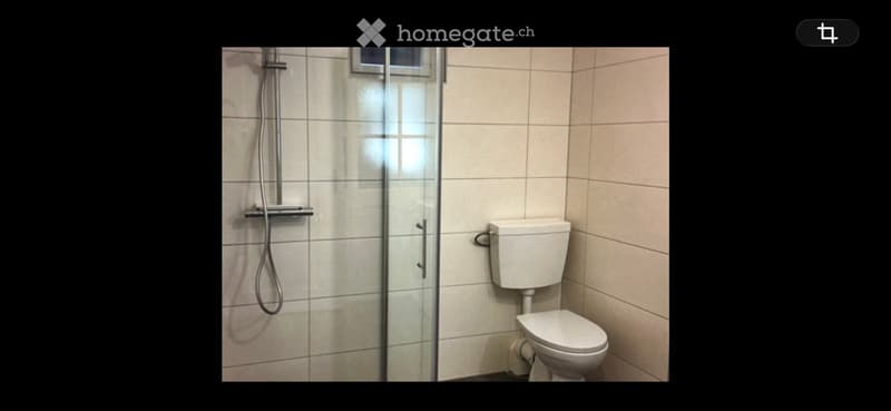 Zu Vermieten: Renovierte 4-Zimmer Wohnung (4)