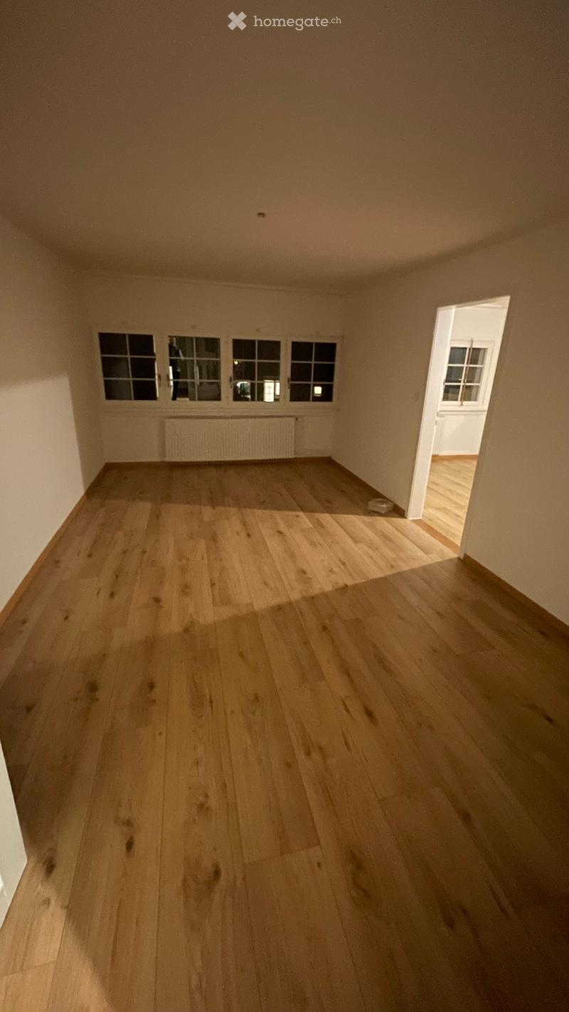 3.5 Zimmer Wohnung (1)