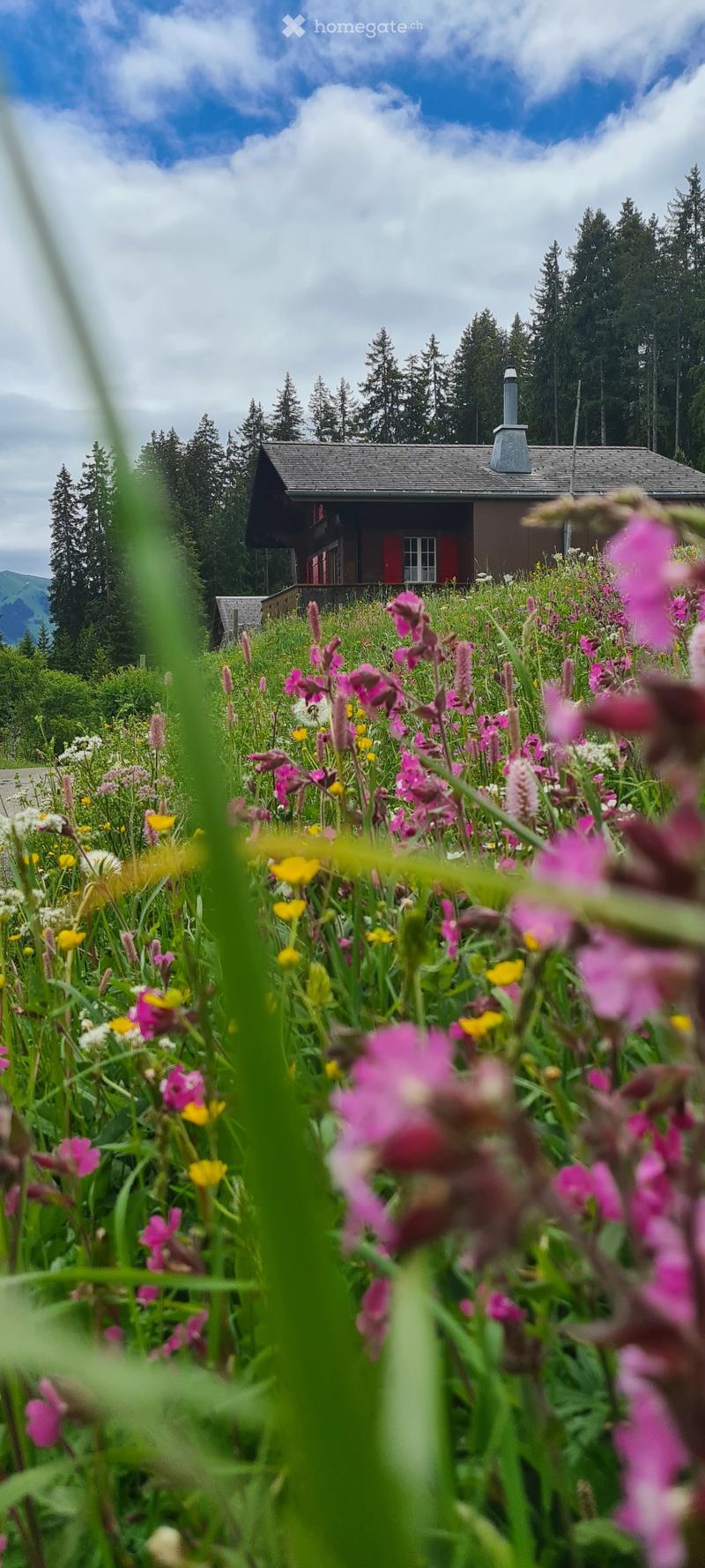 Hébergement (saisonnier) dans le col de Jaun (1)