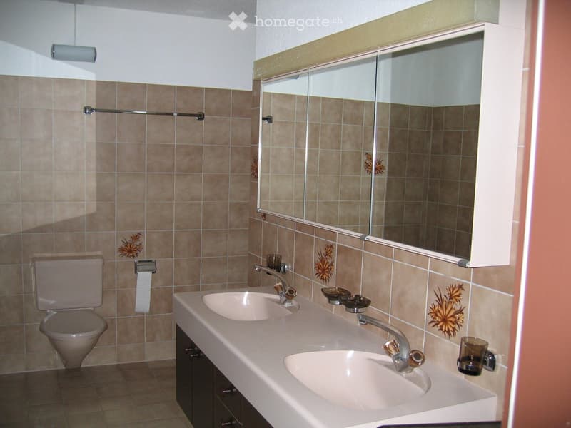 4.5 Zimmer-Wohnung in Luzern-Littau mit schöner Aussicht (5)
